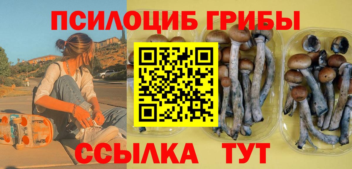 Нефтекамск  Галлюциногенные грибы GOLDEN TEACHER  Вход с VPN  Псилоцибиновые грибы Psilocybe 